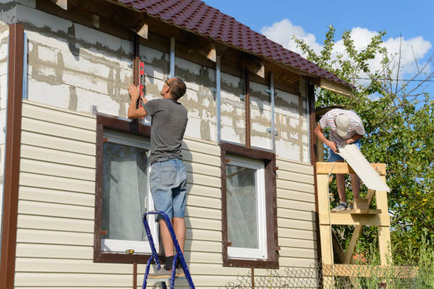 Best Custom Siding Design  in Villa Hills, KY